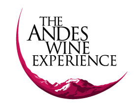 The Andes Wine Experience