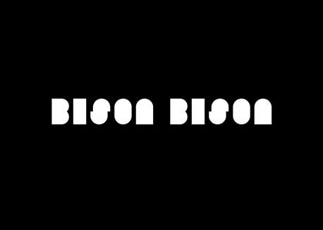 Bison Bison